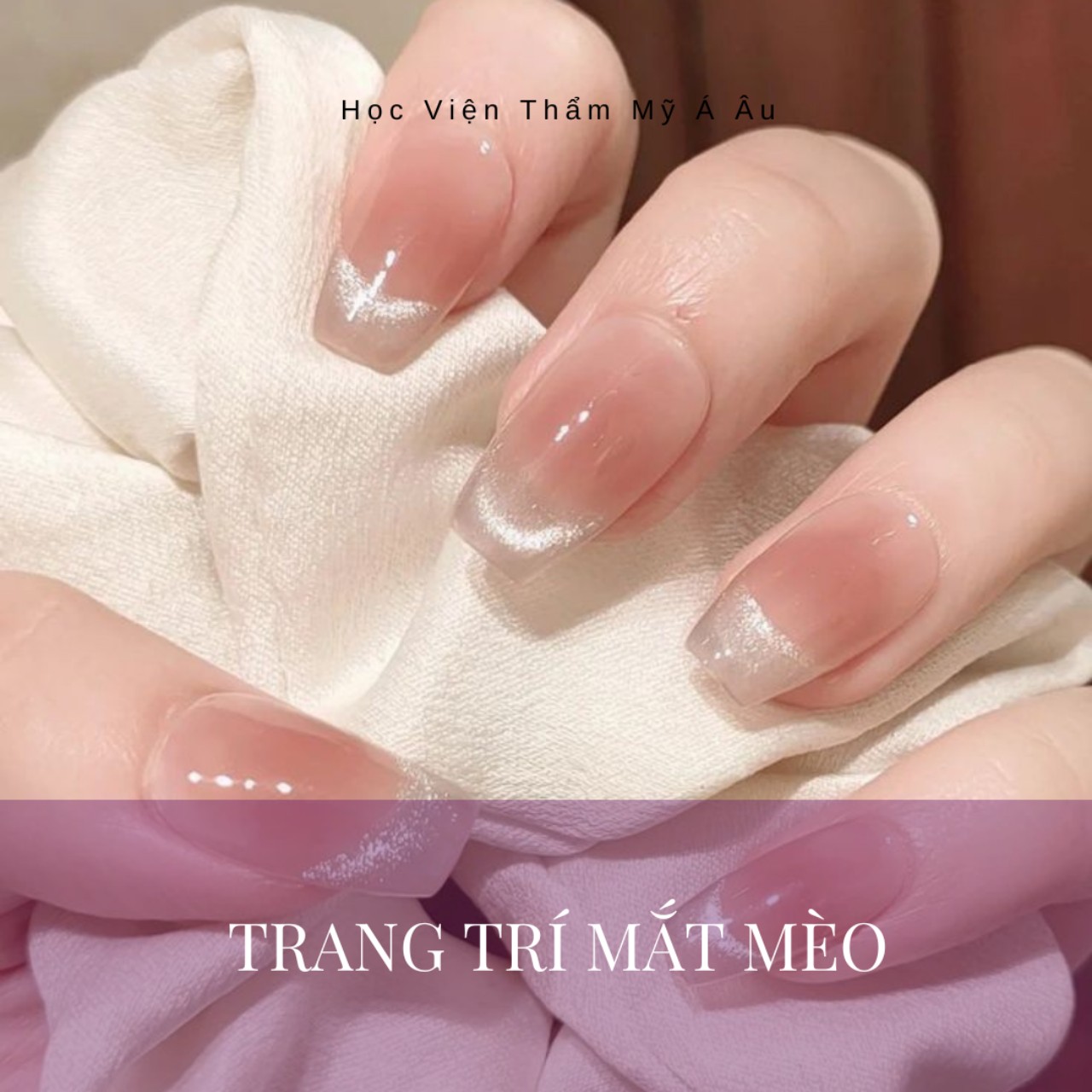 Trang trí Mắt Mèo